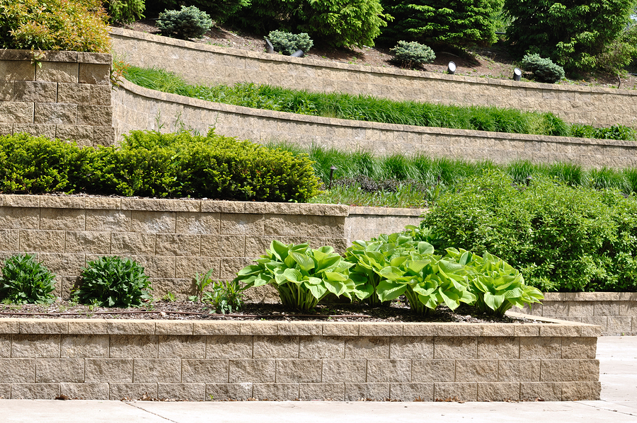 tiered retaining wall with hosta and shrubs